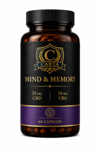 Mind Memory bottle concept artwork
