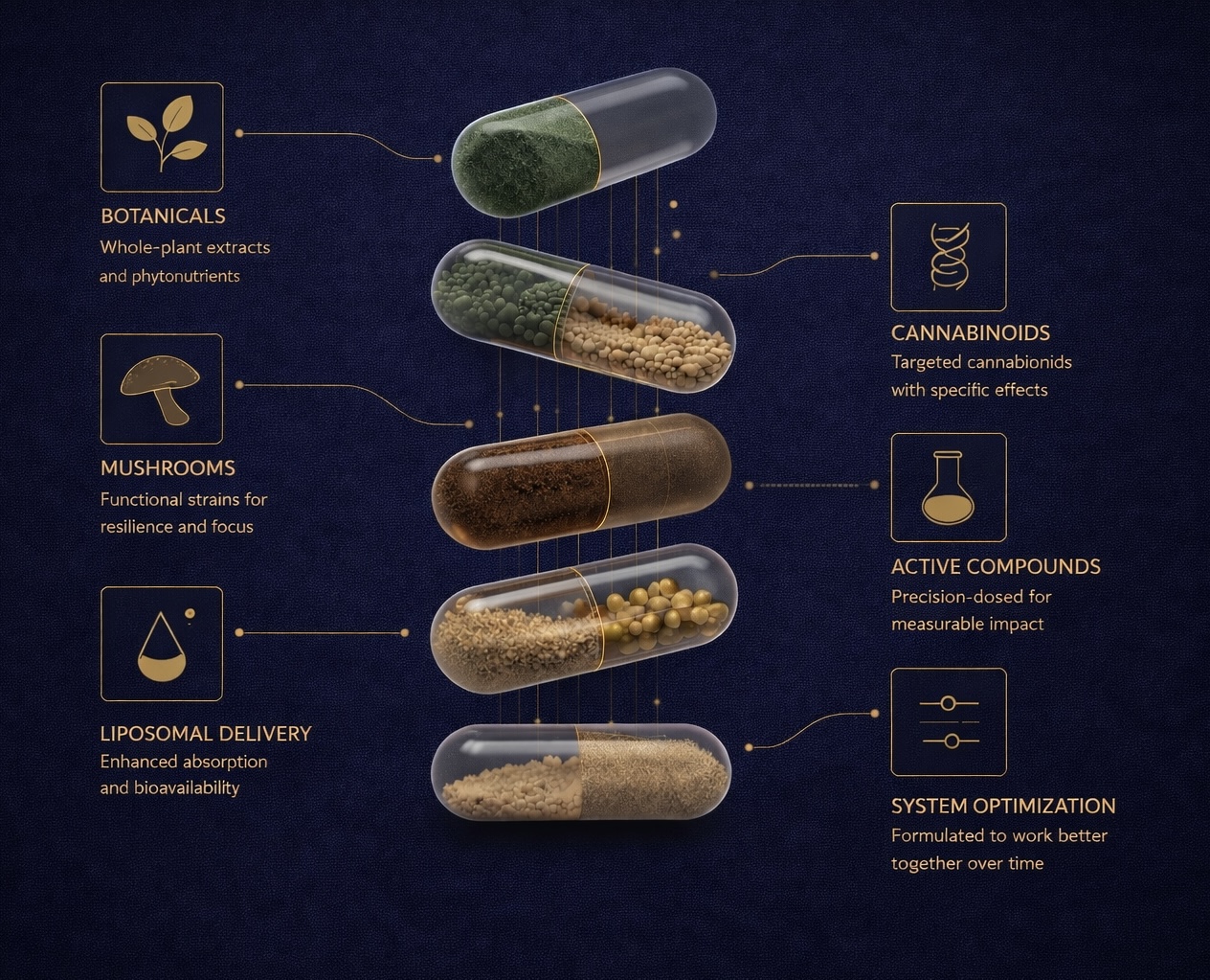 Capsule diagram showing botanicals, mushrooms, cannabinoids, active compounds, delivery design, and system optimization
