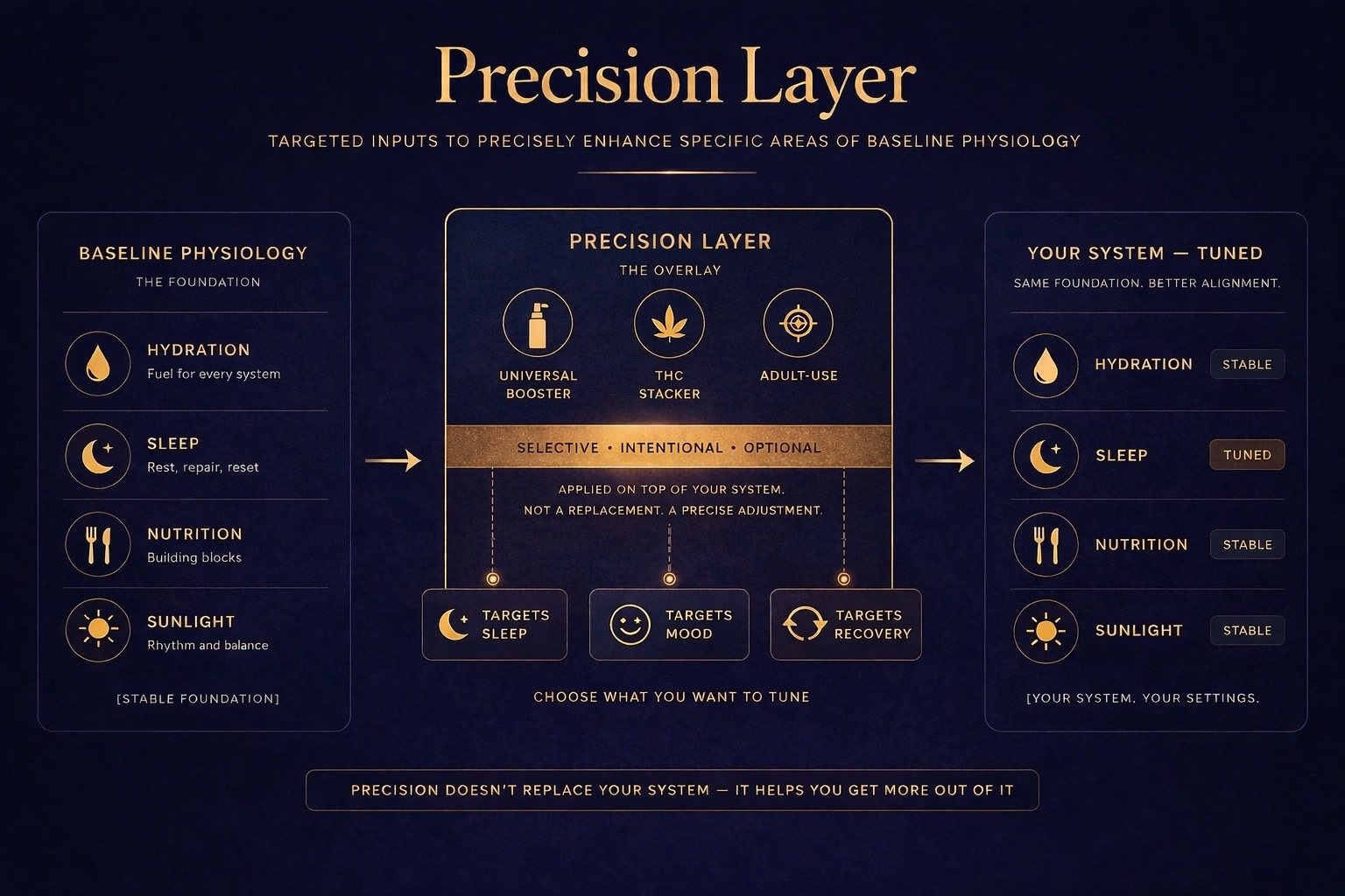 Precision layer graphic showing baseline physiology, precision inputs, and a tuned system