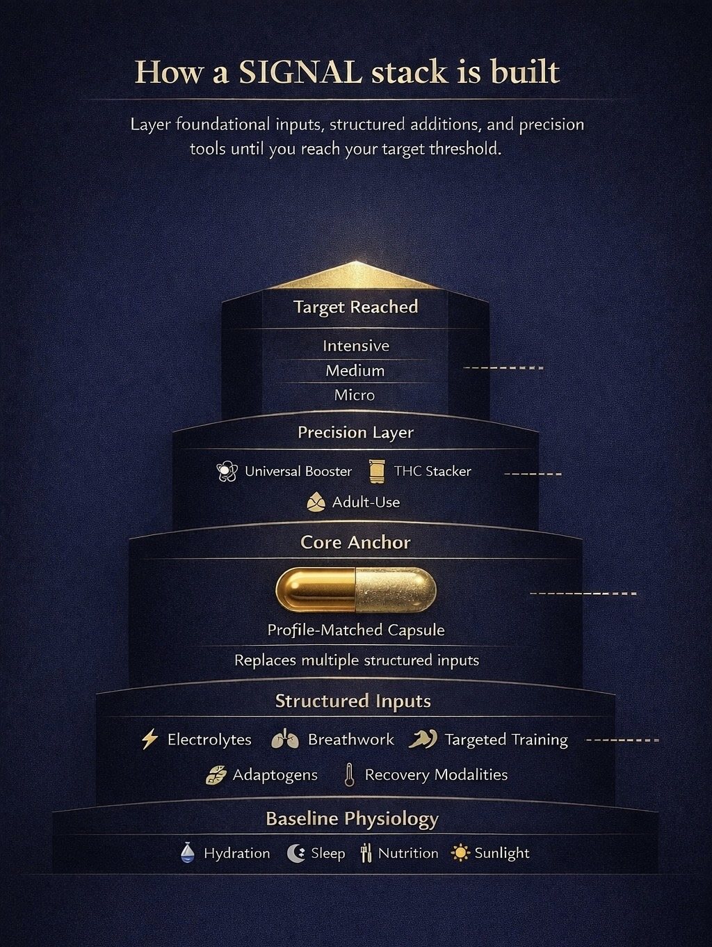 How a SIGNAL stack is built through baseline physiology, structured inputs, core anchor, and precision layer