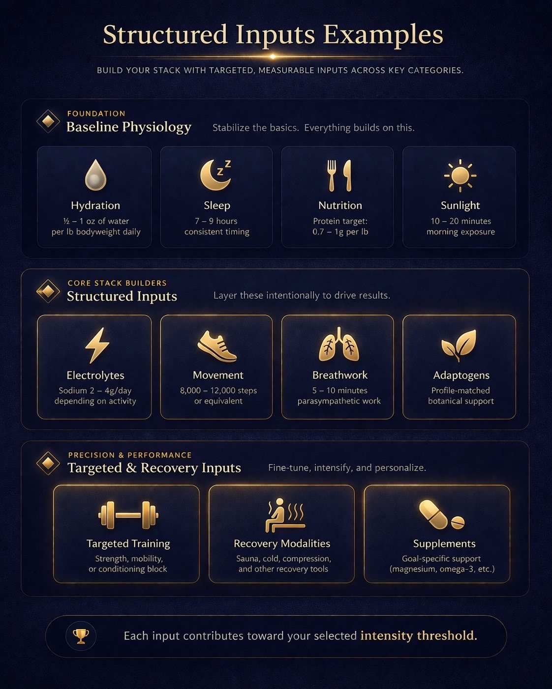 Structured inputs examples including baseline physiology, core stack builders, and targeted or recovery inputs
