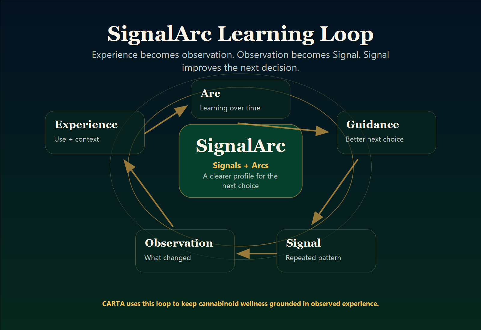The SignalArc learning flywheel