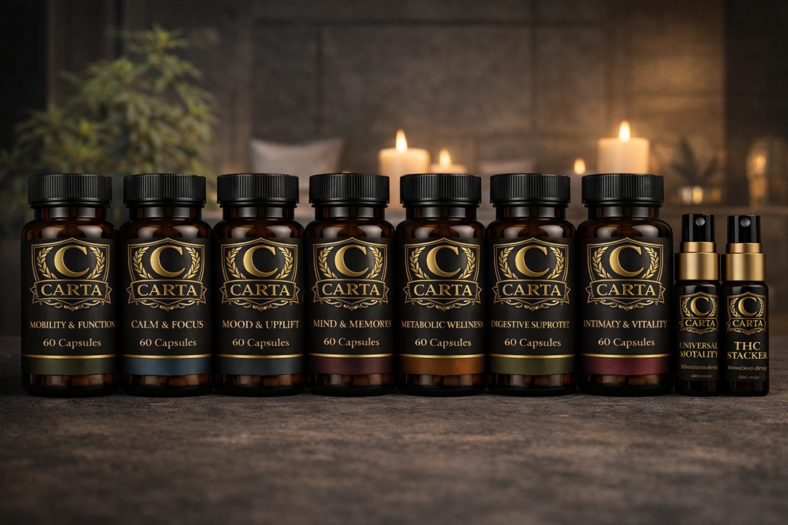 CARTA product lineup